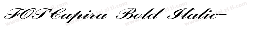 FOTCapira Bold Italic字体转换